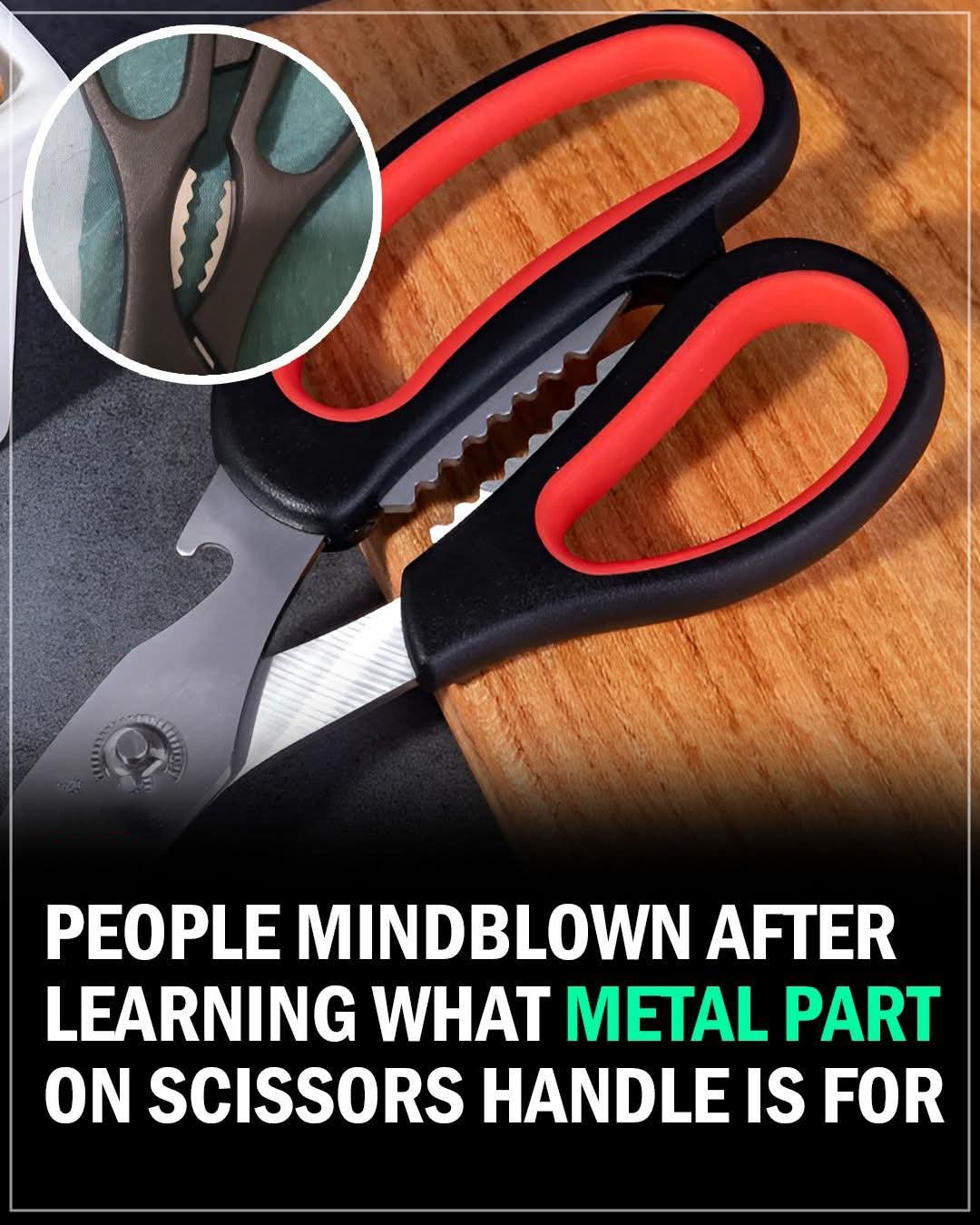 Surprising purpose of the metal teeth between scissors