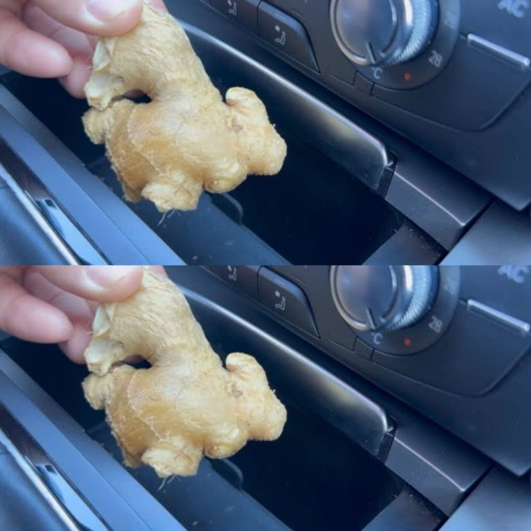 Why Keeping Ginger in Your Car Could Be a Lifesaver
