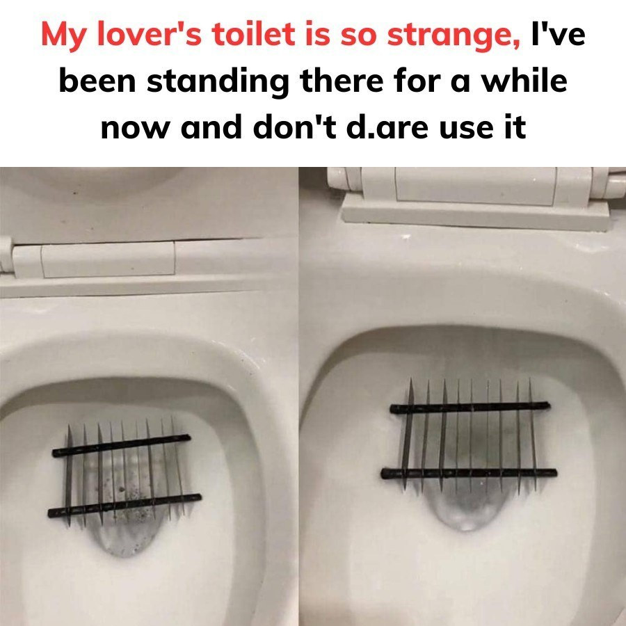 The Bizarre Toilet That Left Me Speechless