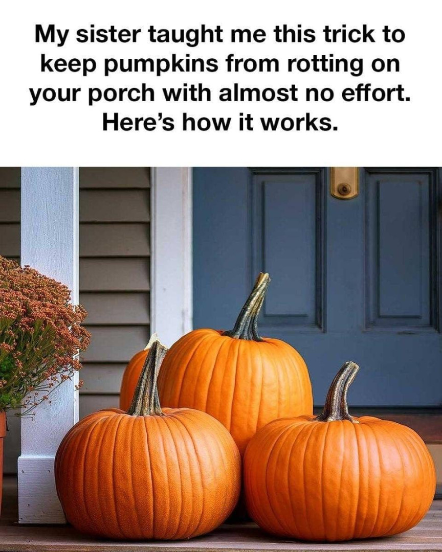 How to Keep Your Pumpkins Fresh: A Simple Trick
