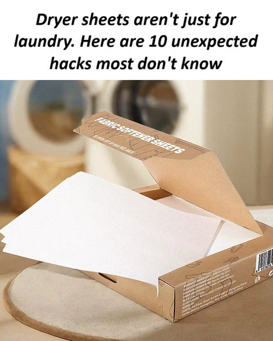 These ideas are amazing