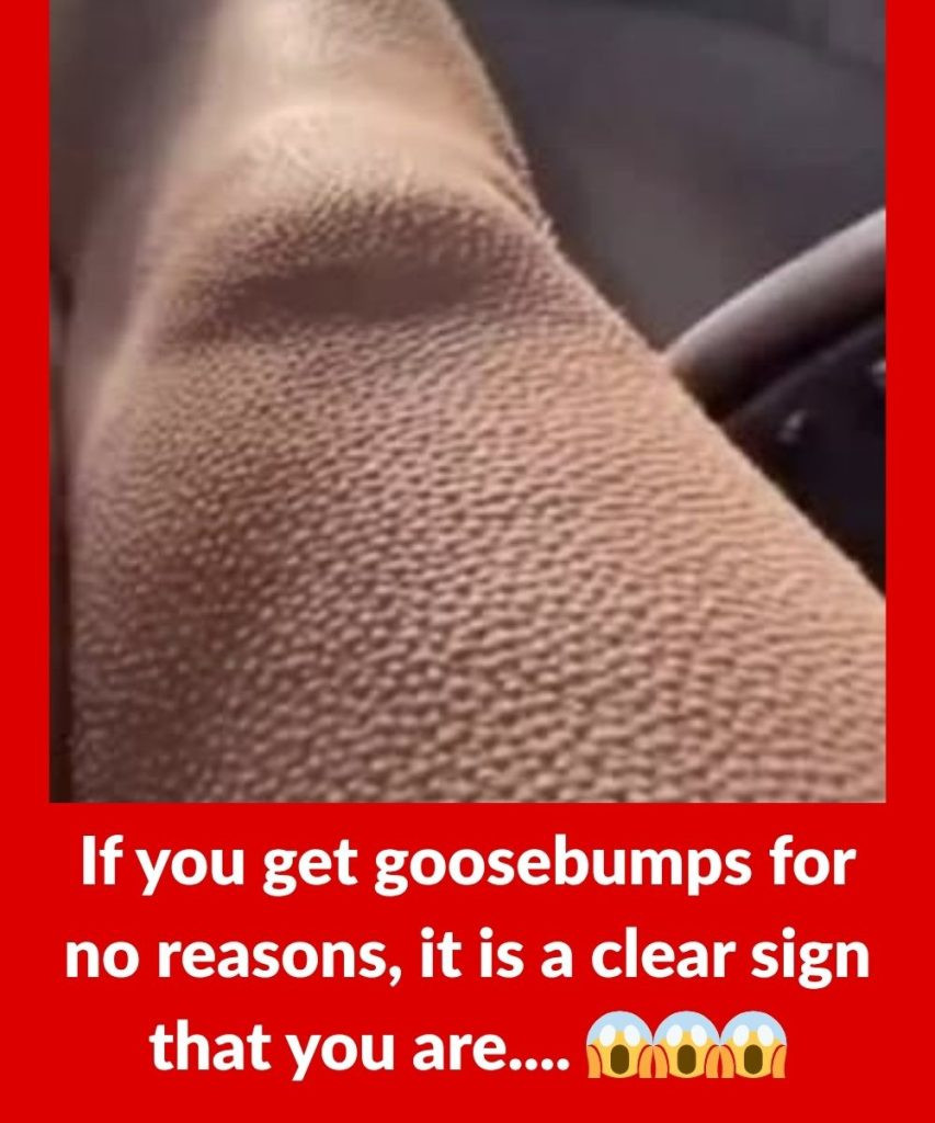 If you get goosebumps for no reasons, it is a clear sign that you are….