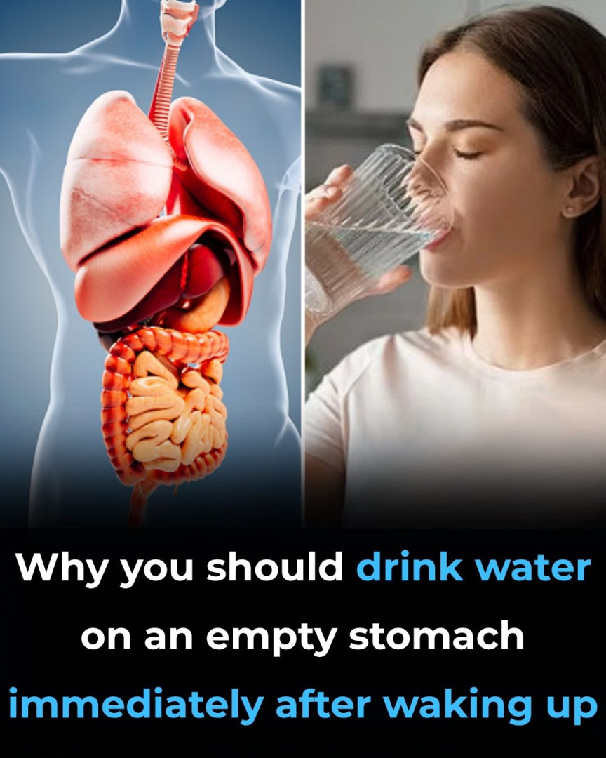 Why You Should Drink Water on an Empty Stomach Immediately After Waking Up