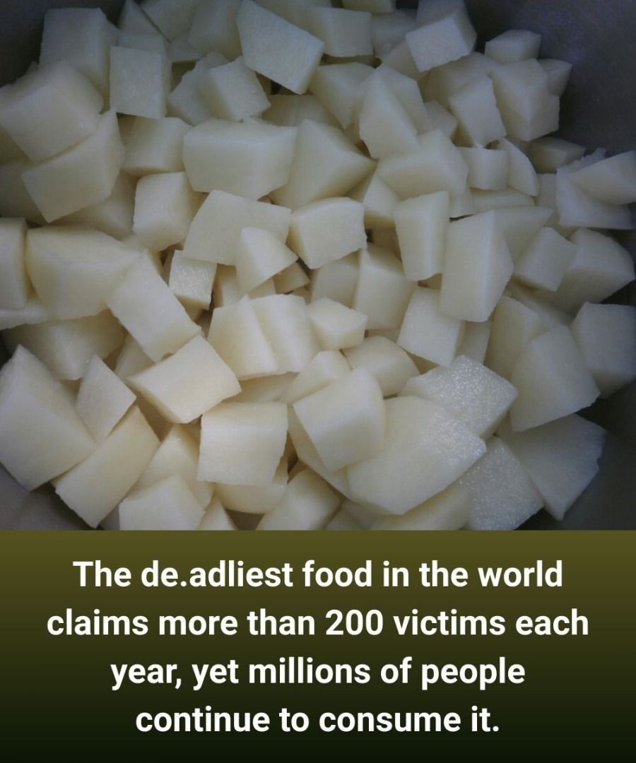 How Eating This Food Affects Elderly Health