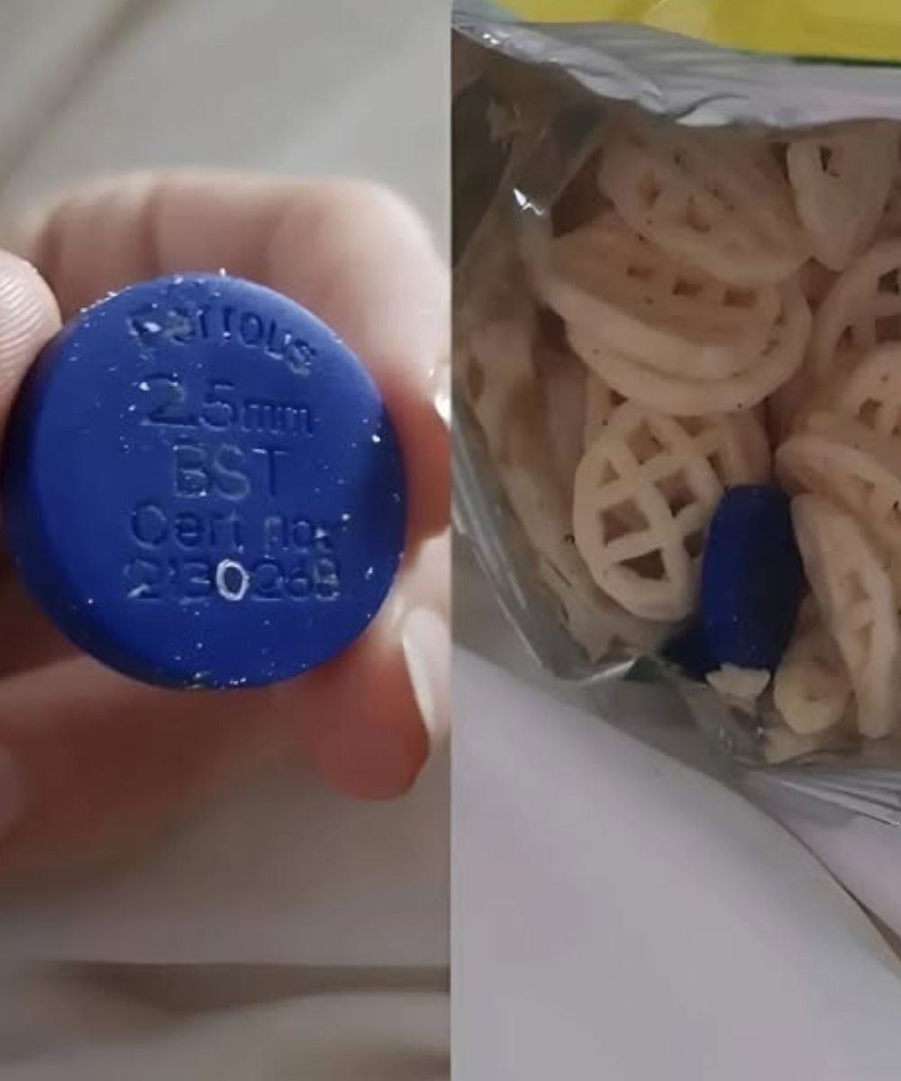We Found a Strange Blue Object in a Bag of Chips—Here’s What It Turned Out to Be