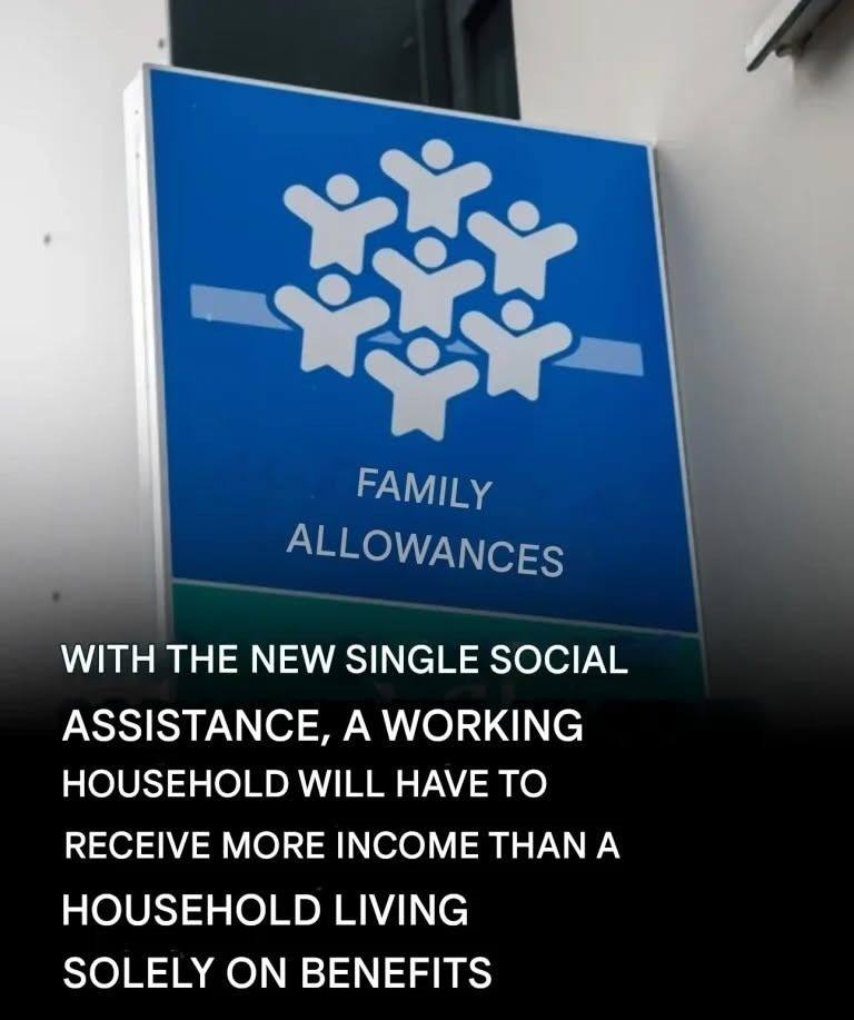 FULL ARTICLE IN THE FIRST COMMENT !!!