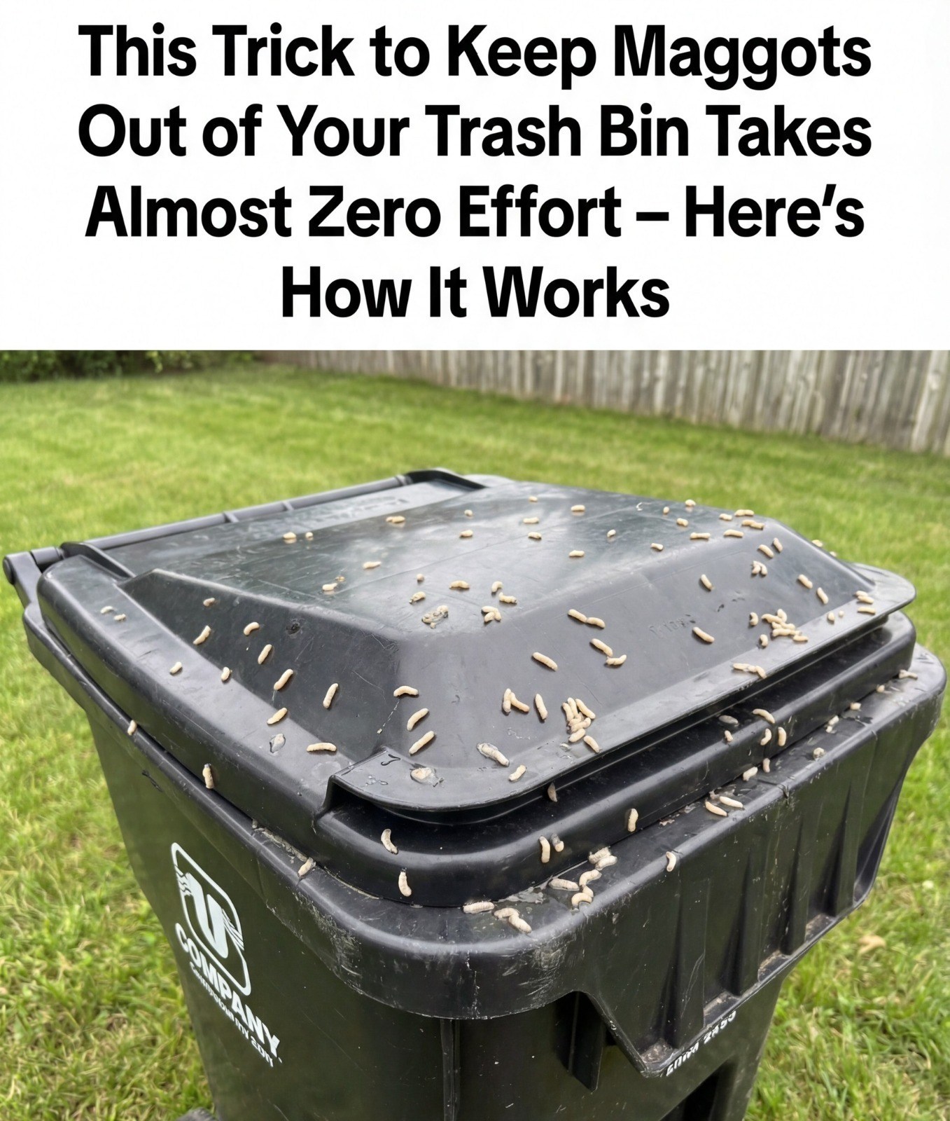 How to Stop Maggots From Taking Over Your Trash Bin — Once and for All
