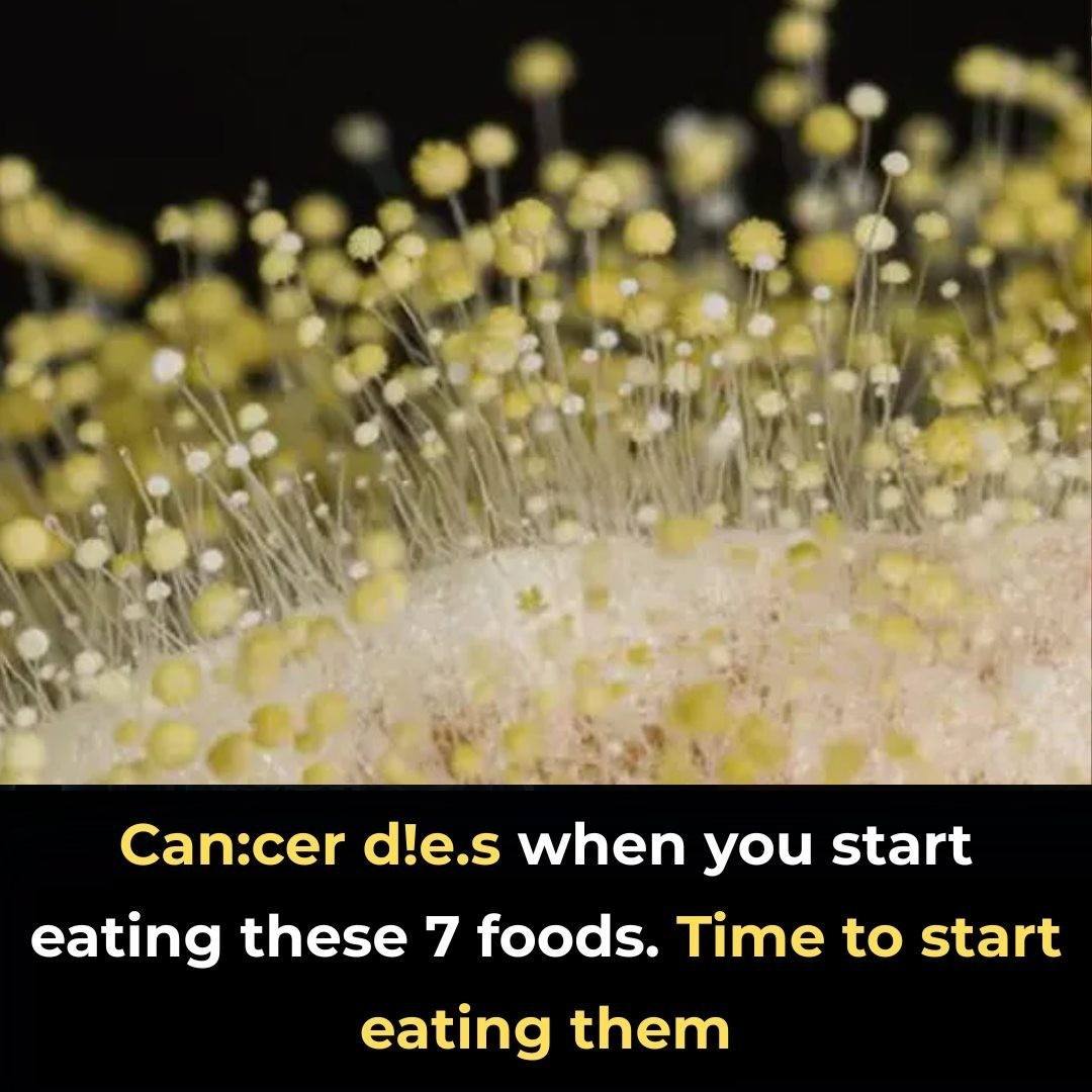 7 powerful anti-cancer foods you should start including in your diet