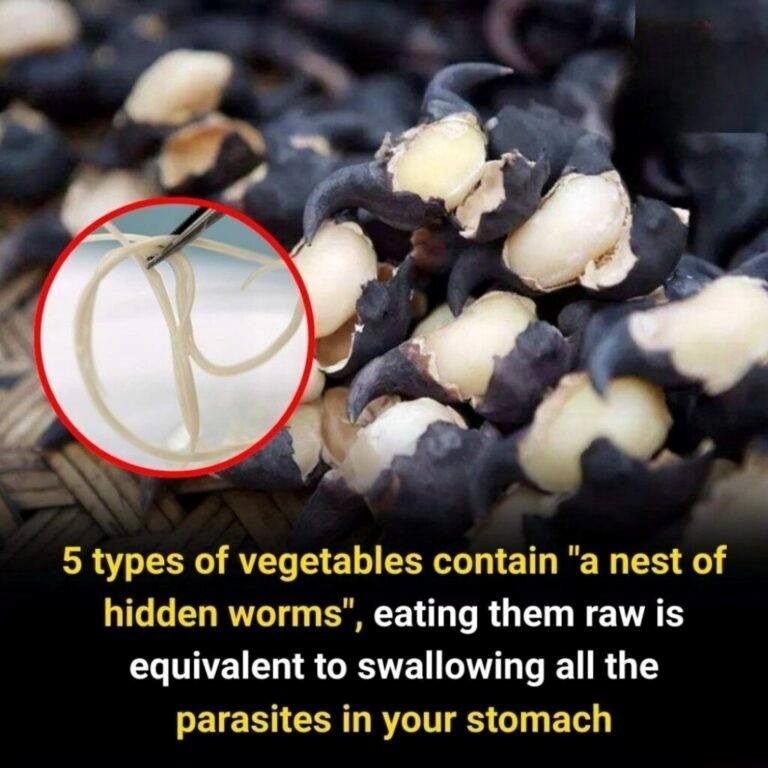 5 vegetables you should never eat raw — they may hide worm nests that turn into parasites in your stomach