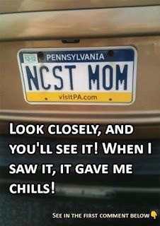 A Plate That Slipped Through: The Viral Case