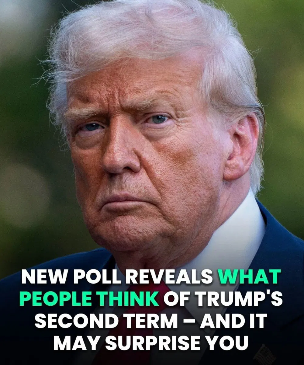 Jaw-Dropping Approval Ratings Reveal What Americans Really Think About Donald Trump