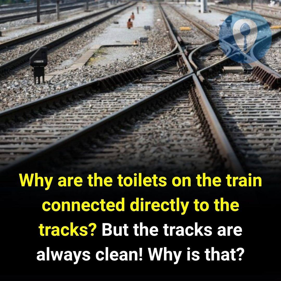 Why Are the Toilets on Trains Connected Directly to the Tracks?