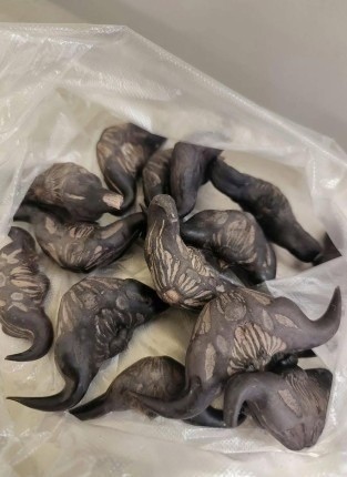 My neighbor gave me a bag of these… anyone know what they are? How do you eat them?