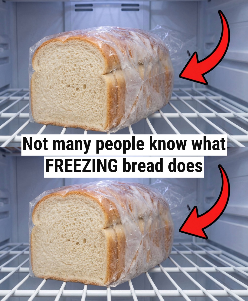The Ultimate Guide to Freezing Bread: How to Keep it Fresh and Tasty
