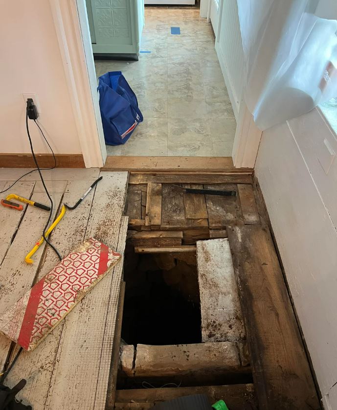 Surprise Under the Floor!