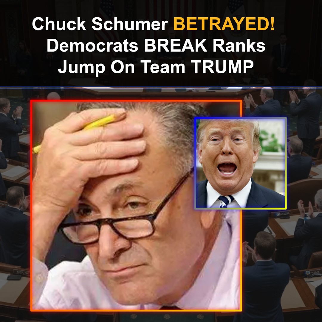 Senate Minority Leader Chuck Schumer BETRAYED – Democrats Break Ranks, Hop On the Trump Train In Humiliating Defeat