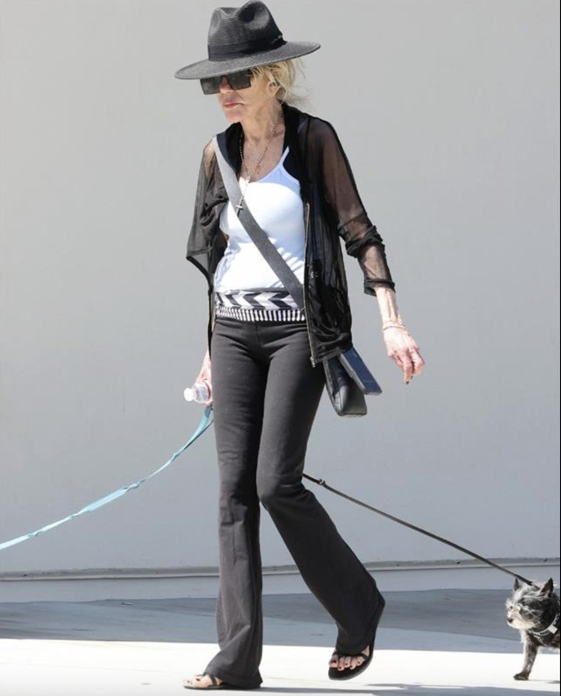 Iconic 70s actress sparks strong reactions after walking her dogs